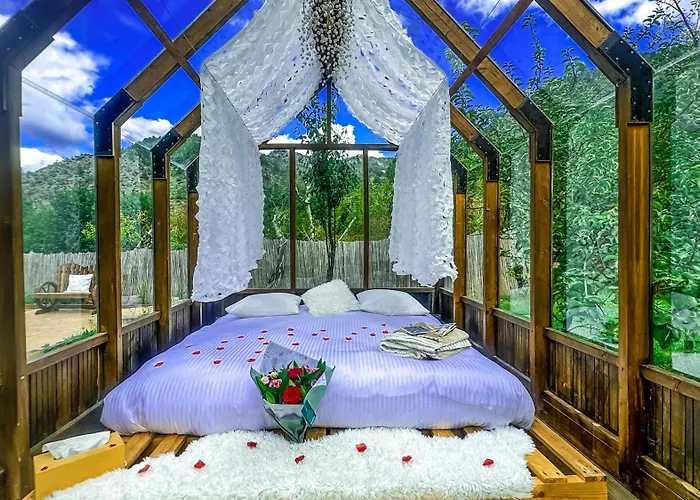 Chalet En Verre Sous Une Pluie Etoilee