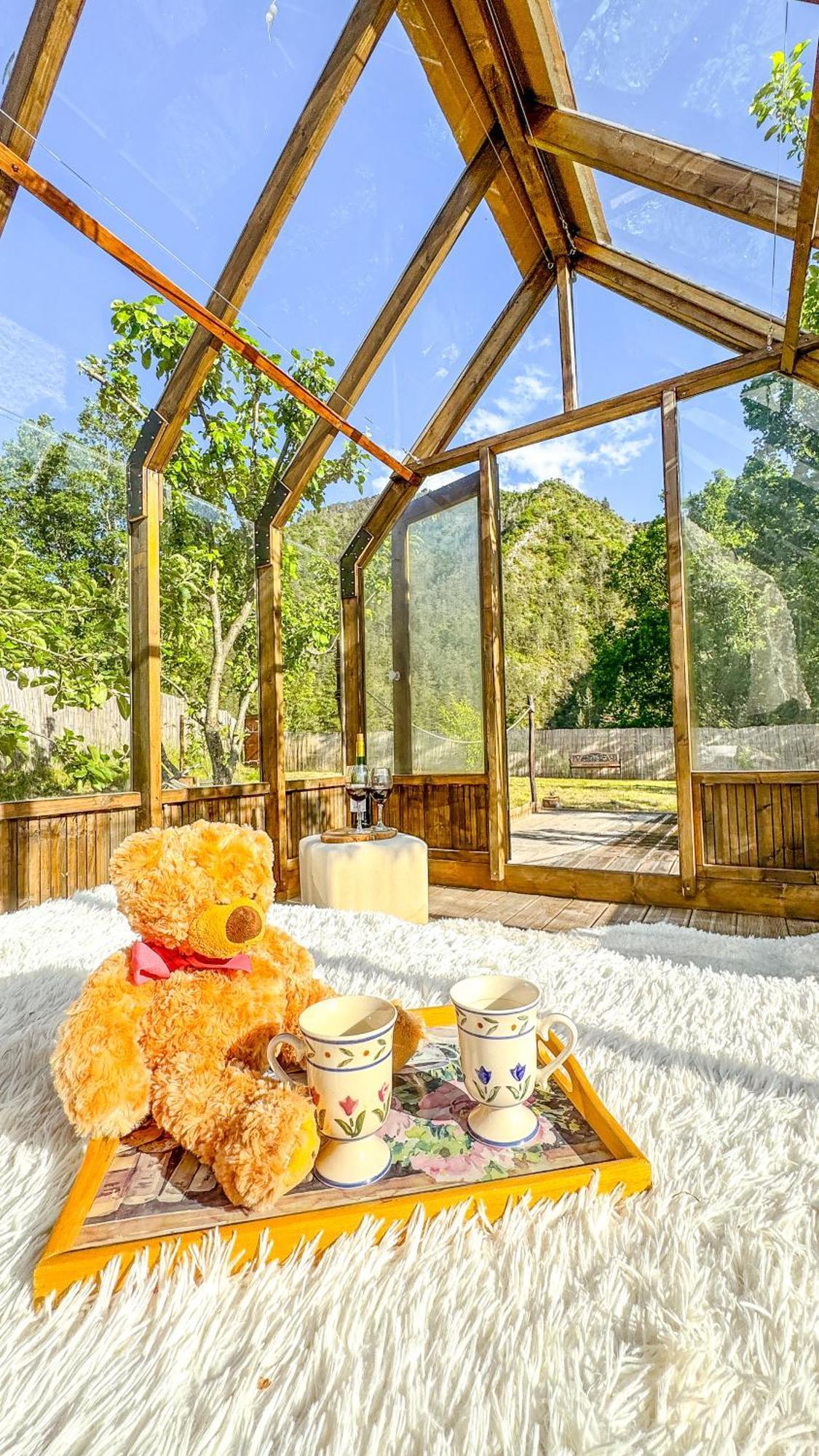 En Verre Sous Pluie Etoilee Luxury tent