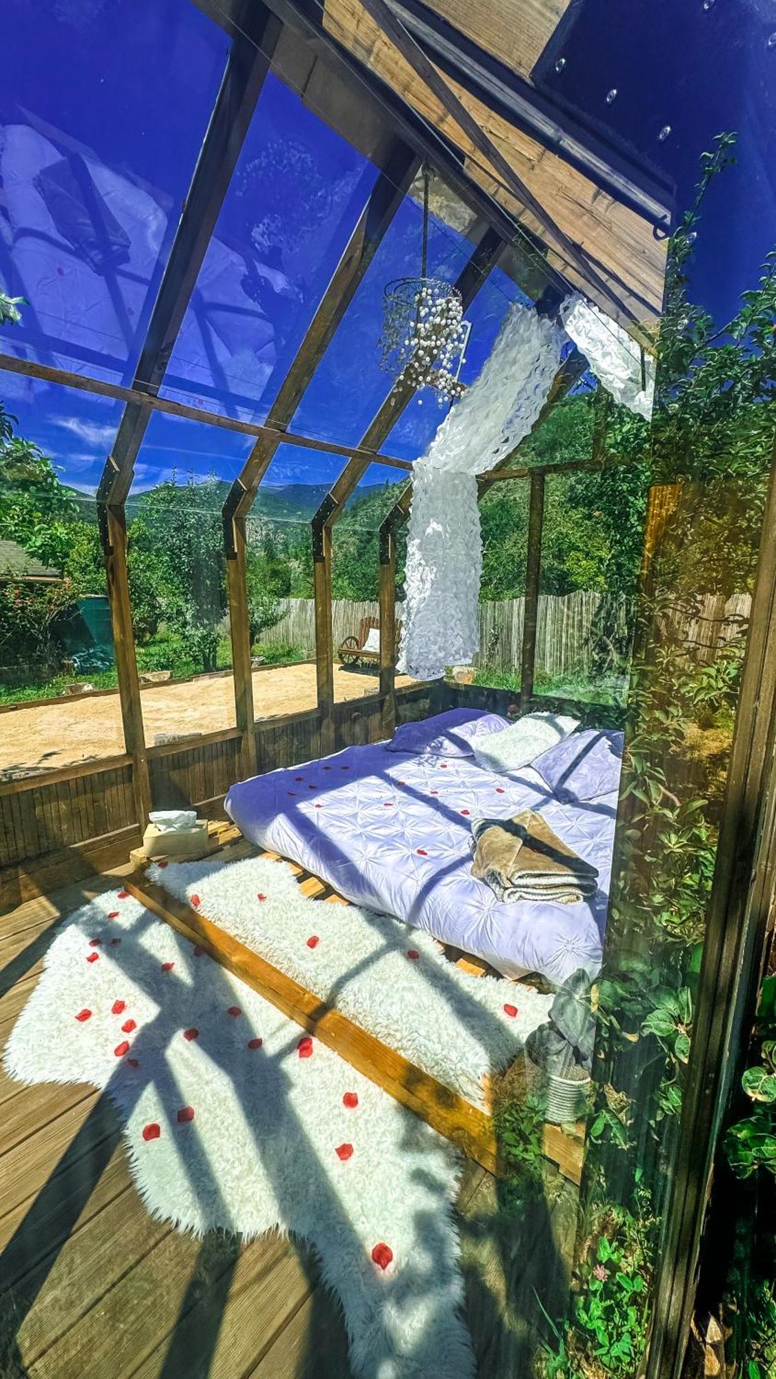 Luxury tent En Verre Sous Pluie Etoilee *